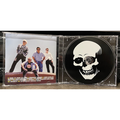 THE SKULLS - THERAPY FOR THE SHY PREOWNED OUT OF PRINT CD PUNK ROCK 2002