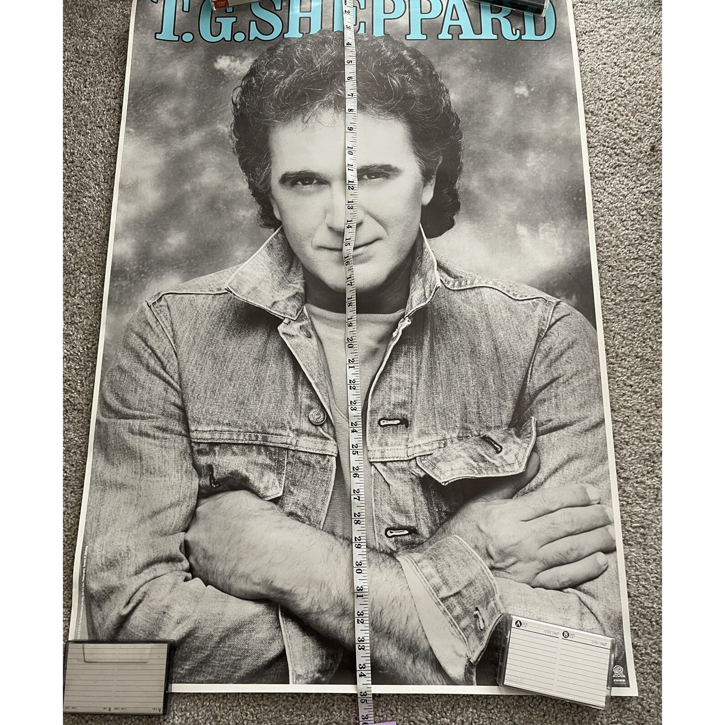 TG Sheppard Rare Original Vintage Promo Poster Warner Bros. Country Music 1984