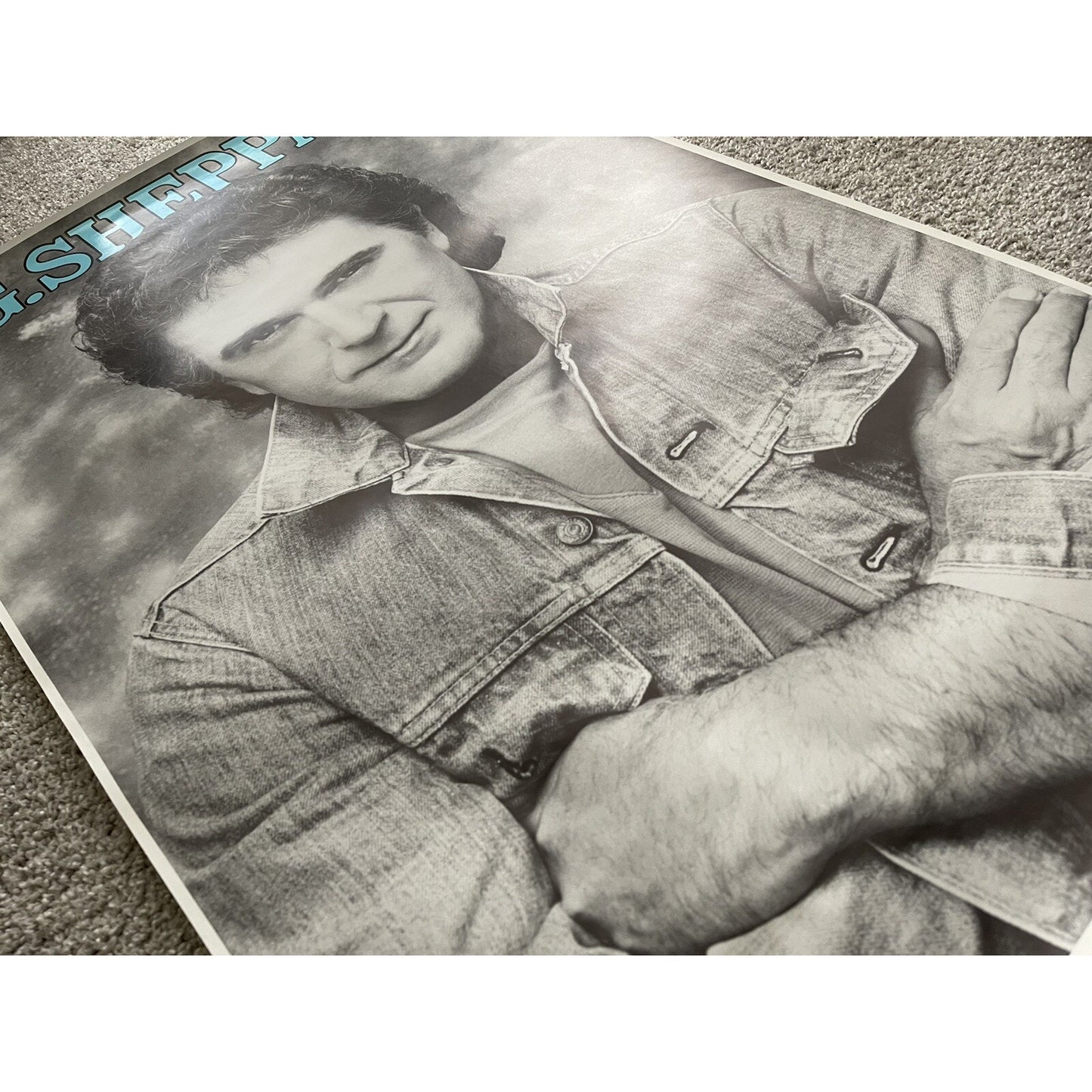 TG Sheppard Rare Original Vintage Promo Poster Warner Bros. Country Music 1984